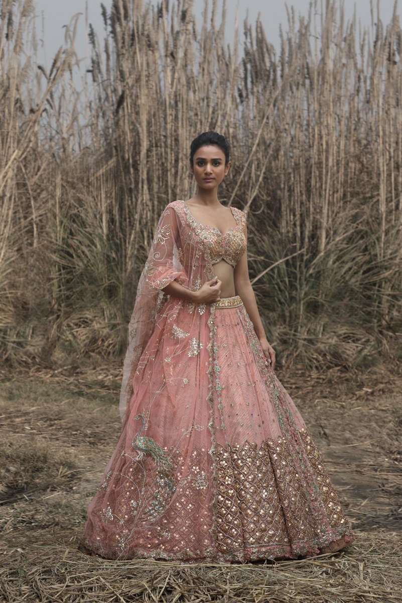 An ashes of rose tulle and silk lehenga. The voluminous skirt features a border that has been derived from architectural details of Rajasthani palace windows and jharokhas.