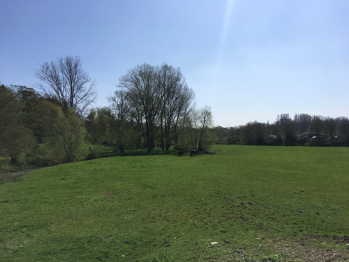 Michael_Mac_UK's tweet photo. “Healthcare is riddled with fissures. The benefit of STPs is that the penny is beginning to drop that we’ve got to solve problems as systems, not individual organisations.” Good discussion at #hsjprovidersummit but what’s outside is far more alluring... https://t.co/WaItCWGaYW