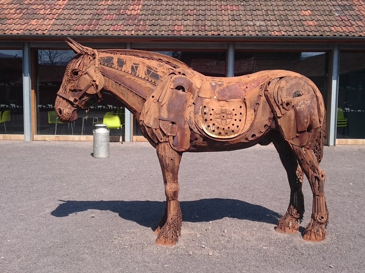 HarrietMead1's tweet photo. Finally got to Glastonbury to photograph my horse at @SomersetRLM Great weather and the sculpture looks fine. https://t.co/NCBjNodXnX