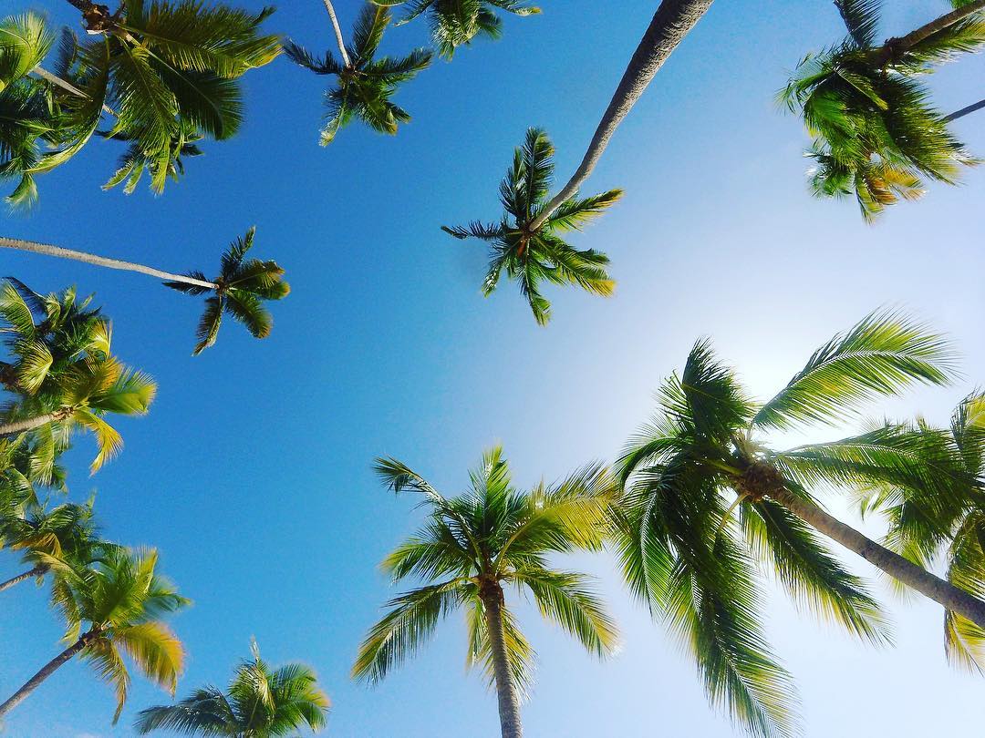 A peine 30°c sous le ciel bleu et les 🌴 de Sainte-Anne ! 😎
📸 instagram.com/tomda21