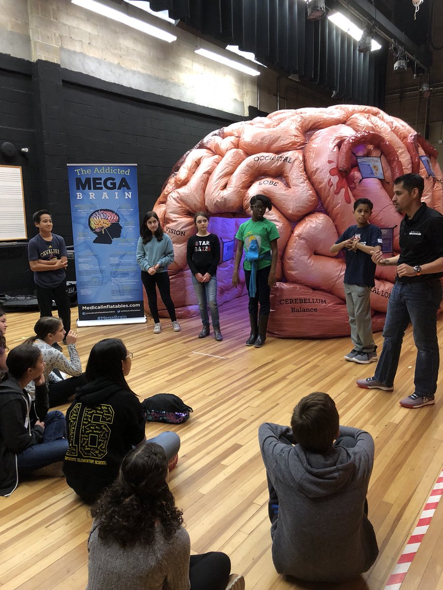 AgovinoJessica's tweet photo. #butler7 visits the brain exhibit!! #sciencerocks #scarsdalemspride #sms #middleschool https://t.co/9D2ID9dw1w