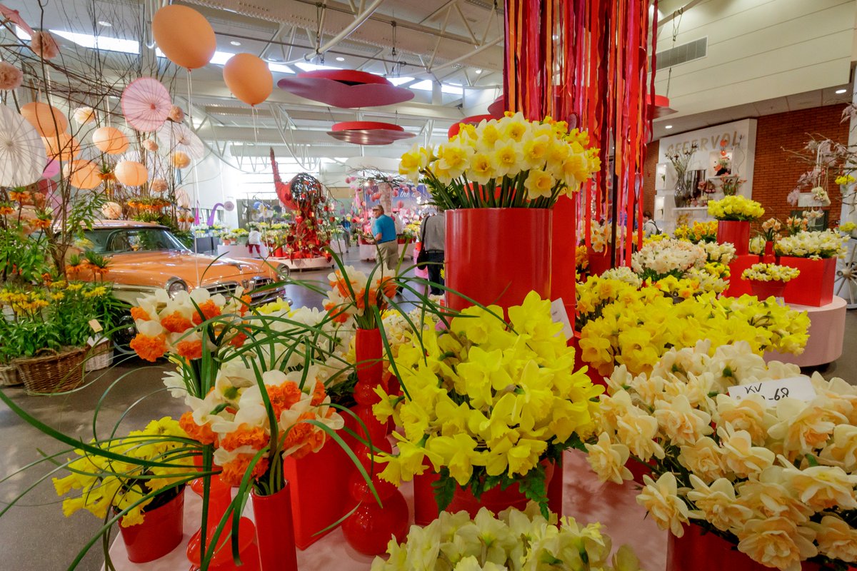 Deze week staan narcissen en bijzondere bolgewassen in de spotlight in het Oranje Nassau Paviljoen. Zoveel mooie nieuwe inzendingen voor de keuring; dat beloofd wat voor de toekomst van deze productgroepen! And the winner is.... bit.ly/2vtEpJc