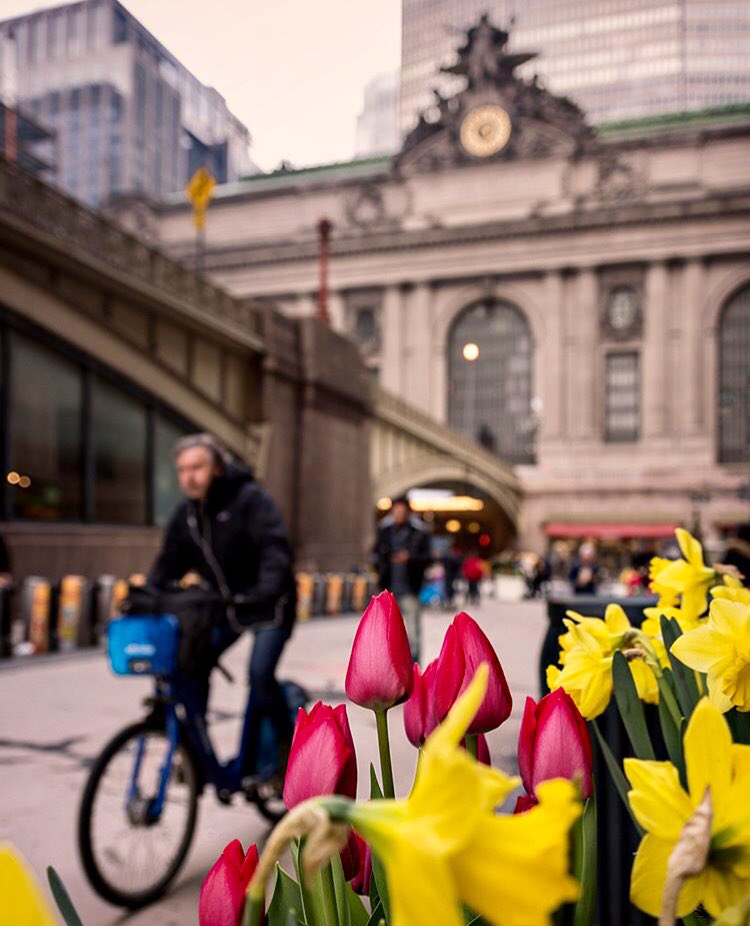 What are your #weekend plans? #Explore #NYC #WJHotel #TriumphHotels #TravelMore #Spring #VisitNYC #View
Photo by <a href="/Brayan/">🧟‍♂️💤</a>