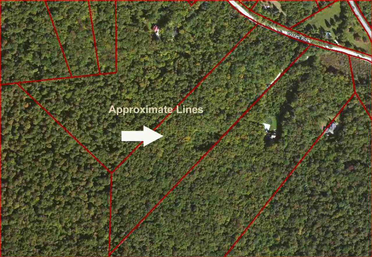 Kelley_RE's tweet image. 14+/-  Acres in Mount Holly homes-for-sale.kelleyrealestate.com/idx/details/li… #mthollyvt #vtland #okemovalleyrealestate #itsokemotime #vt #vtproperties