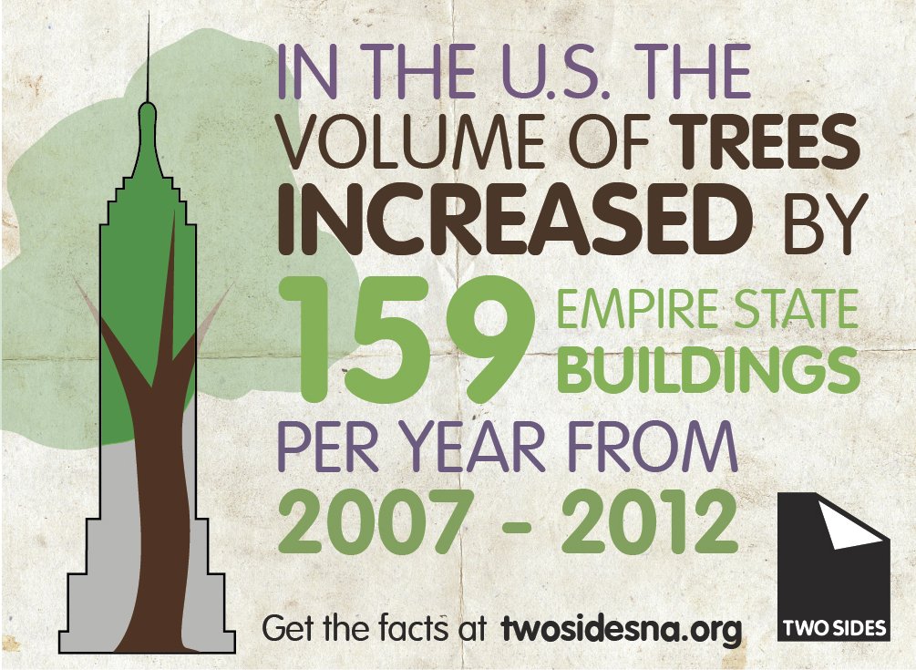 TwoSidesNA's tweet photo. In 2015, the U.S. recovered enough paper for recycling to fill 125 Empire State Buildings. Click. Share #paperfacts. Bust some myths. https://t.co/I2gIPhA39Z https://t.co/afDQnMX0P4