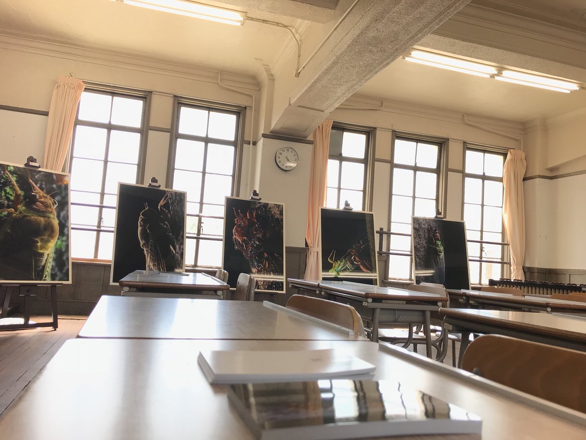 panimate's tweet photo. Went back to school thanks to @jetdaisuke on his exhibition of photos at #Kyotographie !
#nocturne #jetdaisuke #kyoto https://t.co/VhUK4HSXgj