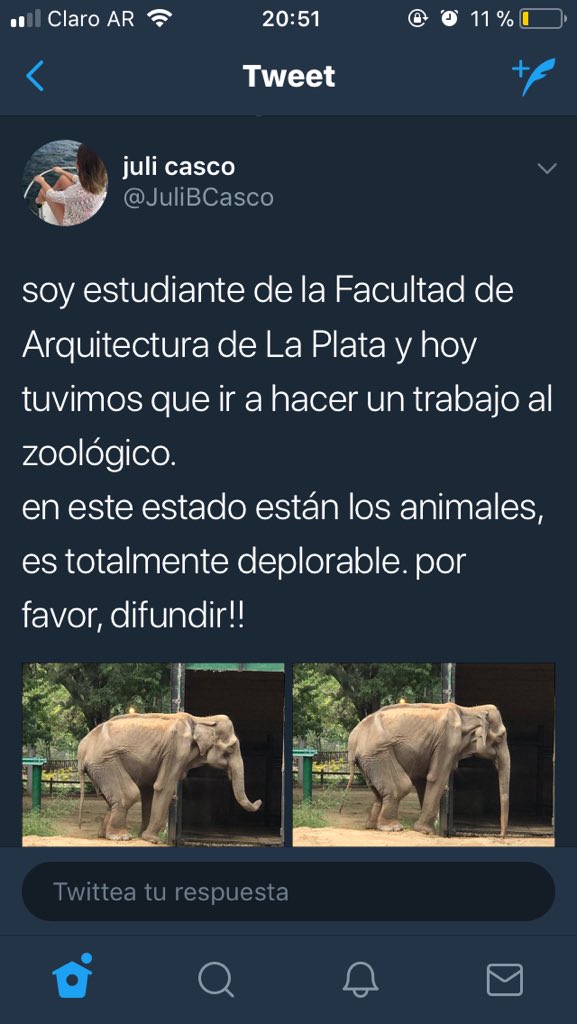 #LaPlata #Vidal #JulioGarro #PelusaNoPuedeMorir #NoMásEsclavitudAnimal #NoCautiverio #NoMásZoo #NotEntertainers #FreePELUSA #FreeAnimals @candetinelli @aide_tarrio @PartidoPACMA @matildablanco @lizytagliani @adriasalgueiro @romeros_ok @andyborou @revistalatecla @radioulaplata