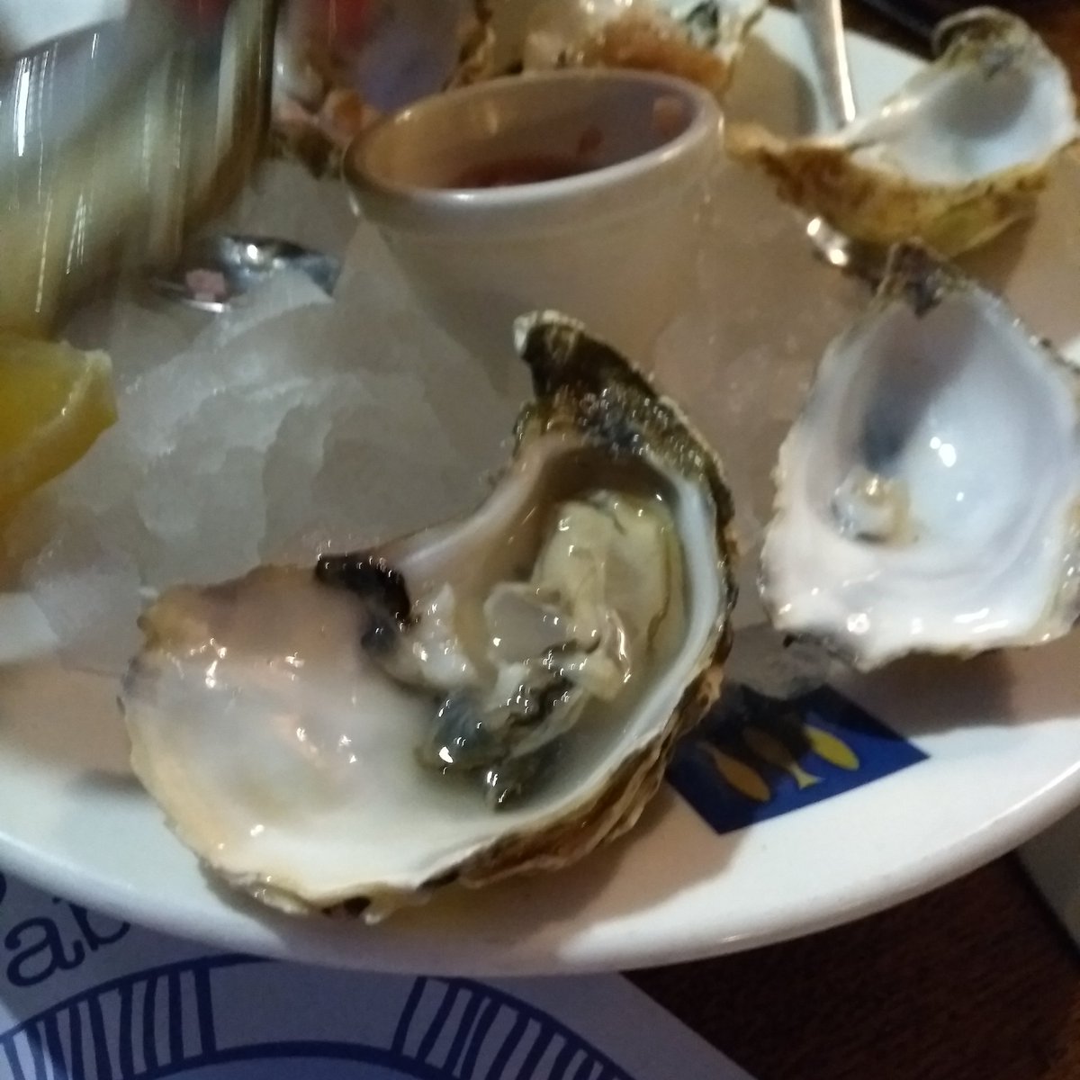 opozboom's tweet photo. My first oyster https://t.co/yIyRsQRcyK