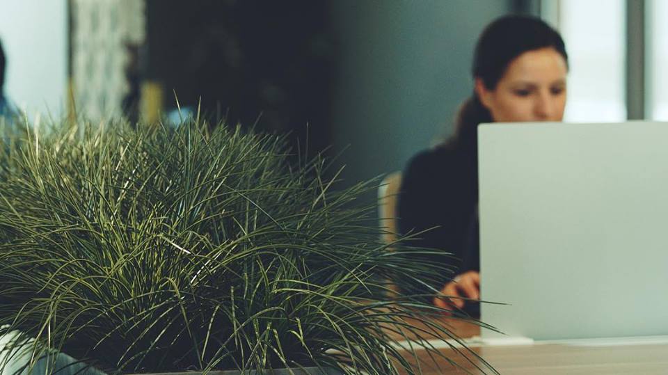 Happy Friday! Come get some work done in our space until 5pm today! New to Worklab? Check out our website worklabinc.com for more information!