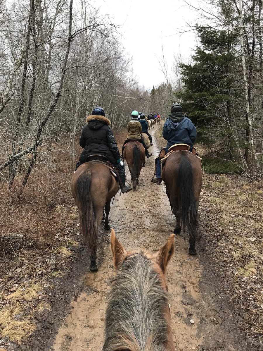Exploring Agriculture 11 outcomes on horseback today at Evangeline Trail Rides!  What an experience!