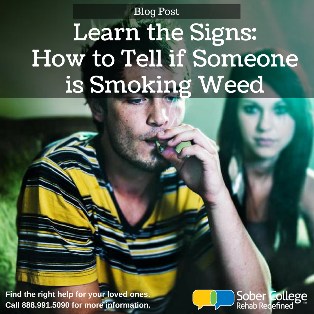 Check out this article to learn the most common signs of marijuana use, what the substance looks like in various forms &amp; common hiding spots: buff.ly/2EetQJd
#sobercollege #marijuana