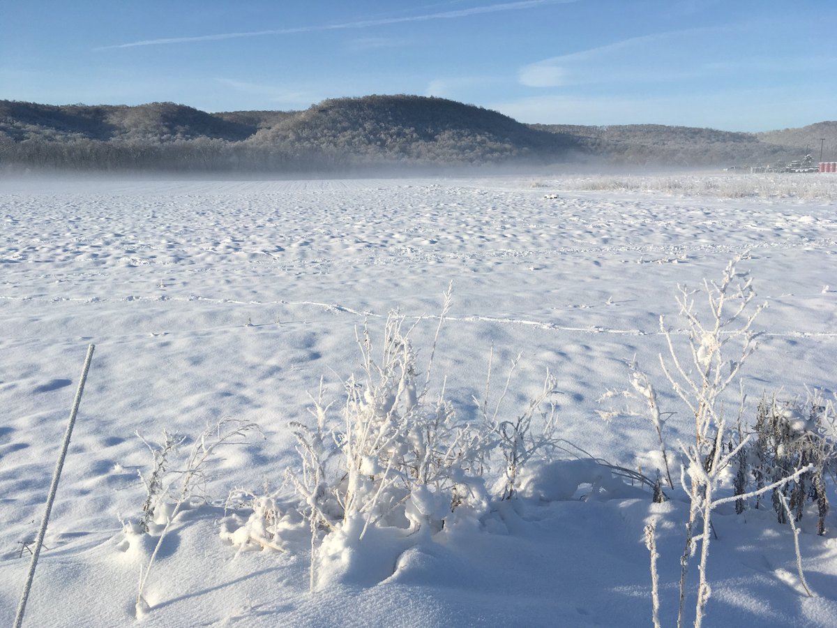 featherstonefv's tweet photo. Hurray for spring's long awaited arrival!  Our plants are growing faster than the snow is melting, though... #hurryup  #waiting https://t.co/6uCKkY4IzX