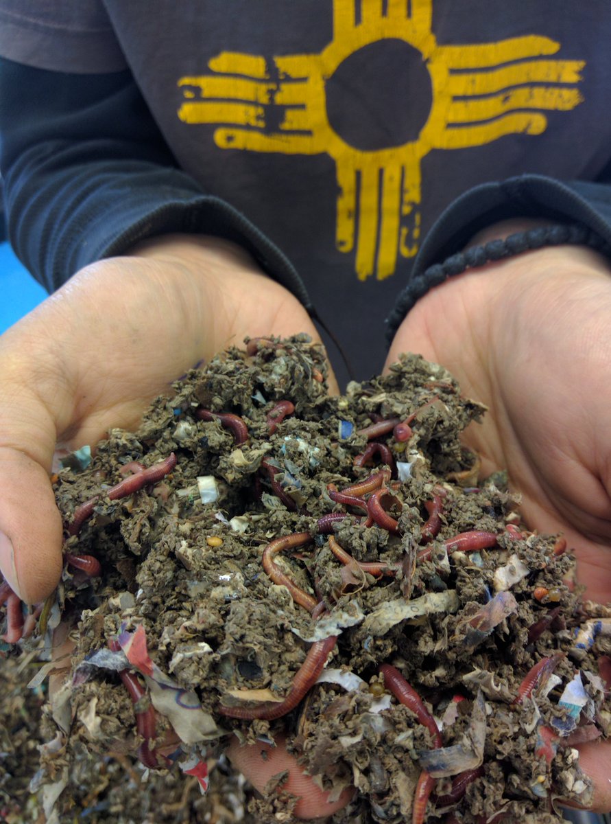 CSD31SI's tweet photo. Compost Crew @GrowNYC bringing out the worms!
-
We love learning about indoor composting with a worm bin, as well as best practices for outdoor composting. 
-
#wormCastings
#inspireD31 
@SCaloir 
#GardenSummit https://t.co/j23tMKdeoi