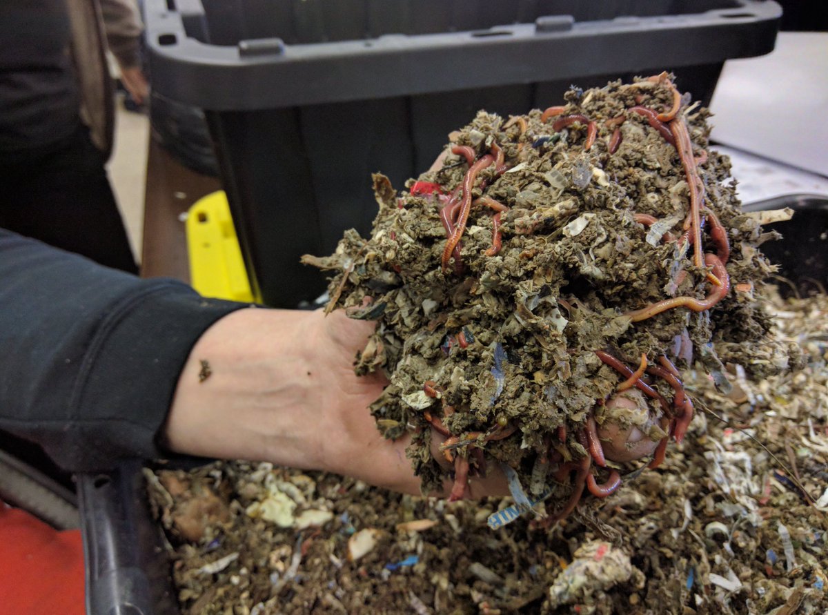 CSD31SI's tweet photo. Compost Crew @GrowNYC bringing out the worms!
-
We love learning about indoor composting with a worm bin, as well as best practices for outdoor composting. 
-
#wormCastings
#inspireD31 
@SCaloir 
#GardenSummit https://t.co/j23tMKdeoi