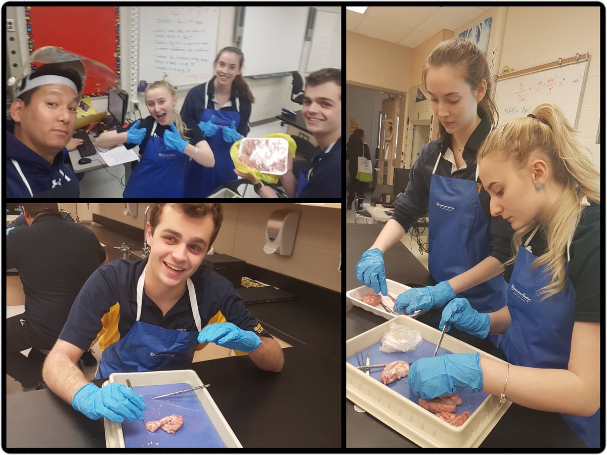 Devils_Agenda's tweet photo. Picking our brains in STEM Club. @stmikesbolton @StMictv https://t.co/gdPp7cJ8Os