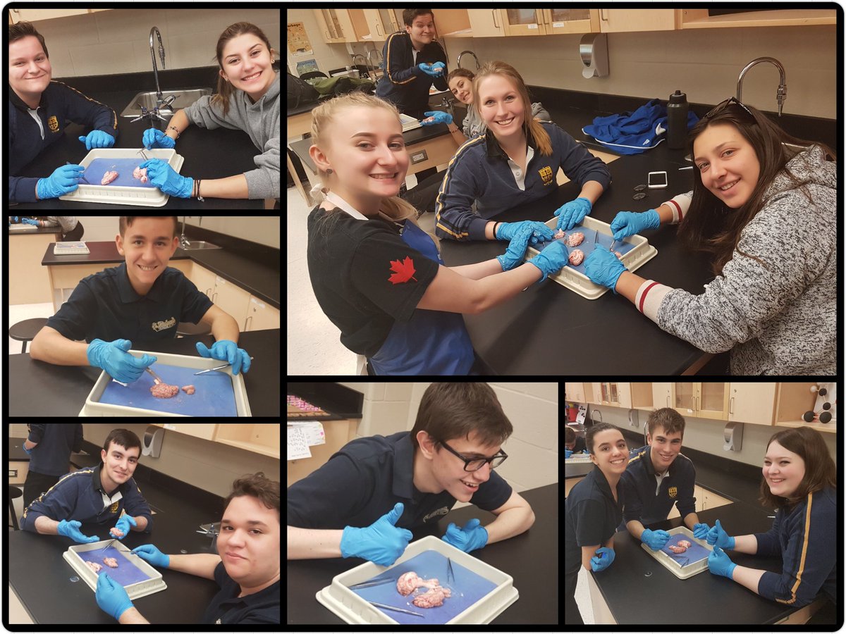 Devils_Agenda's tweet photo. Picking our brains in STEM Club. @stmikesbolton @StMictv https://t.co/gdPp7cJ8Os