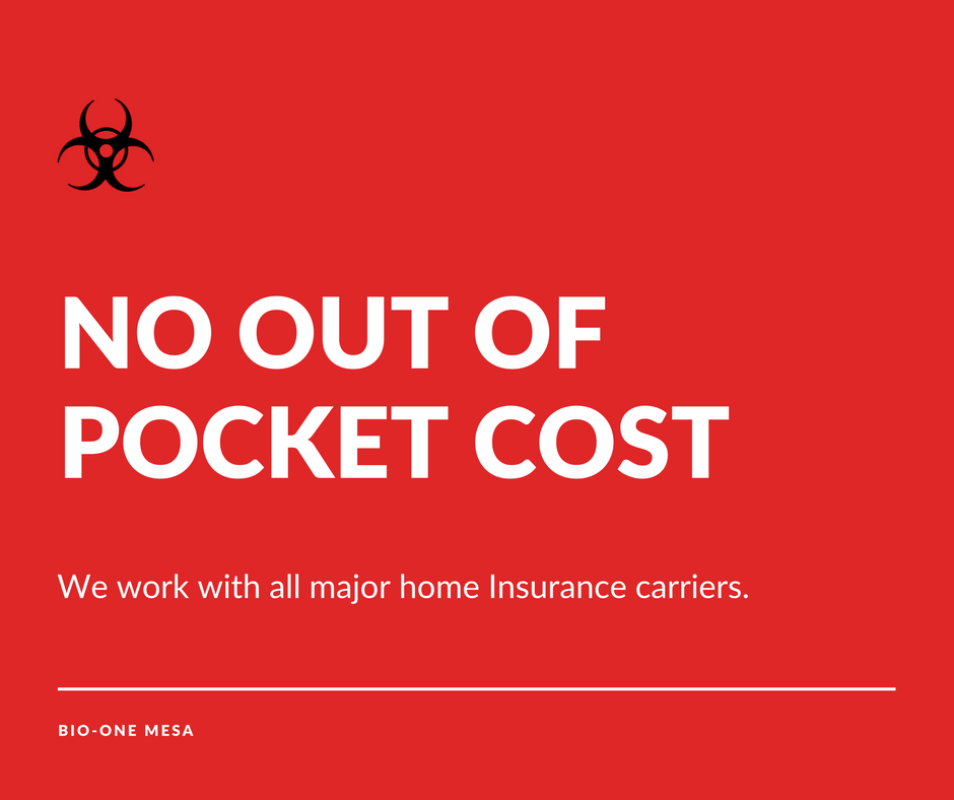 bioonemesa's tweet photo. We never require any payment before or at time of service &amp; most of the time insurance covers the cost of 95% of the work we do. If you need help, don't hesitate to call Bio-One Mesa today! 
#BioHazardCleanUp #HelpFirst
https://t.co/XwZv9jXGwM https://t.co/hJFFFWT5P4