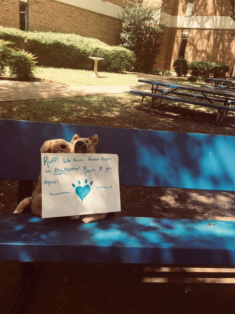 approject_13's tweet photo. Came across these pups today! They asked me if I could put them on twitter and share their message with the world! #germanshepard #goldenretriever #AnimalRights https://t.co/exKS6fJu5w
