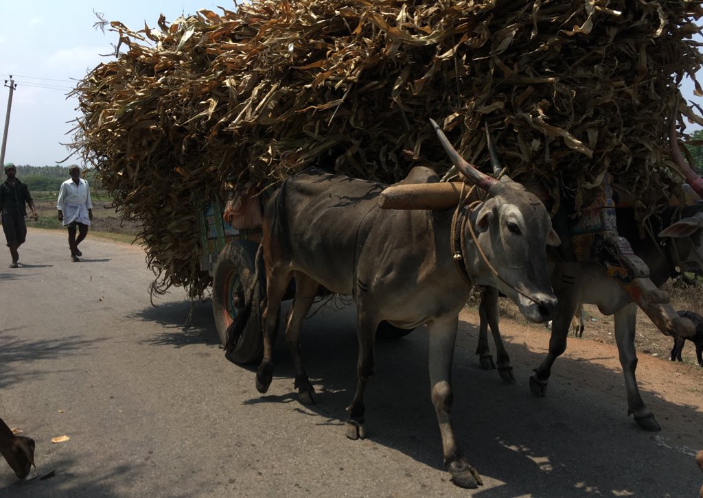 MuraliMRGS's tweet photo. Joking apart!
Continue with the questions.

How much #blackmoney have got seized after #demonetisation Mr. Modi?

#ModiGovtPerformance #ModiPM #RuralDistress #FarmCrisis #EconomySlowDown #IndiaGDP #ModiFailureOrNot #AcheDin 
#KarnatakaElections2018 https://t.co/EP8f4dT6UH