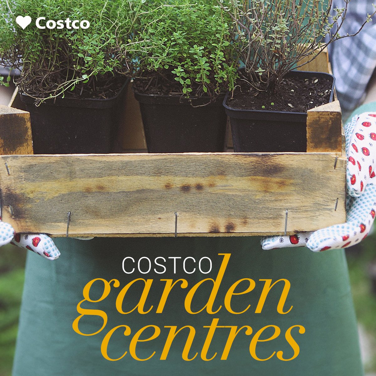 Costco Canada On Twitter Spring Has Sprung At Costco Check Out