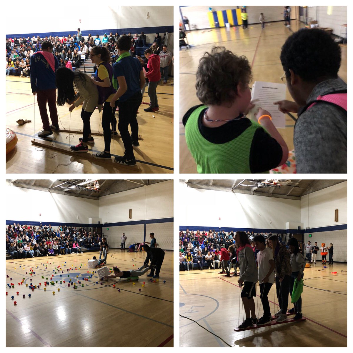 Stephanie Reger tweet media