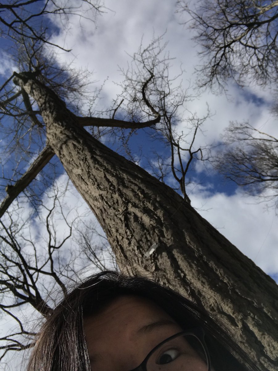 lu_jess028's tweet photo. Good thing bob isn’t giving out awards for best selfies !! #ees028 #gingkoselfie https://t.co/tJBpGMJ6HS