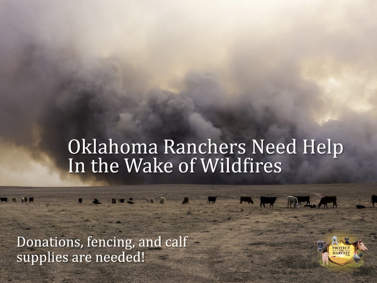 Farmers and Ranchers impacted by the devastating wildfires need assistance:
To donate hay or other agricultural-related supplies and services, contact one of these three following phone numbers: 
405-590-0106
405-496-9329 
405-397-7912