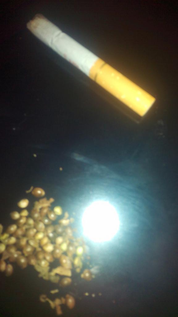 Freeman806's tweet image. What strains Got This Seeds.