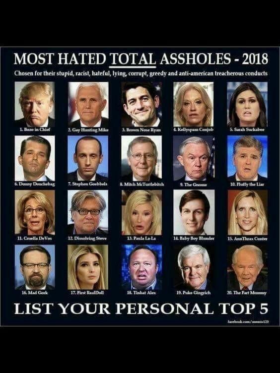 RealMuckmaker's tweet photo. A parade of asses? Better than a military parade,let's march these guys around! https://t.co/Jo8BGQh5kD
