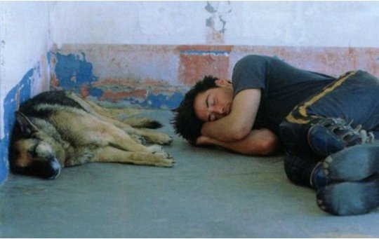 keanuthings's tweet photo. keanu reeves with dogs https://t.co/Ay6AuIbkxx