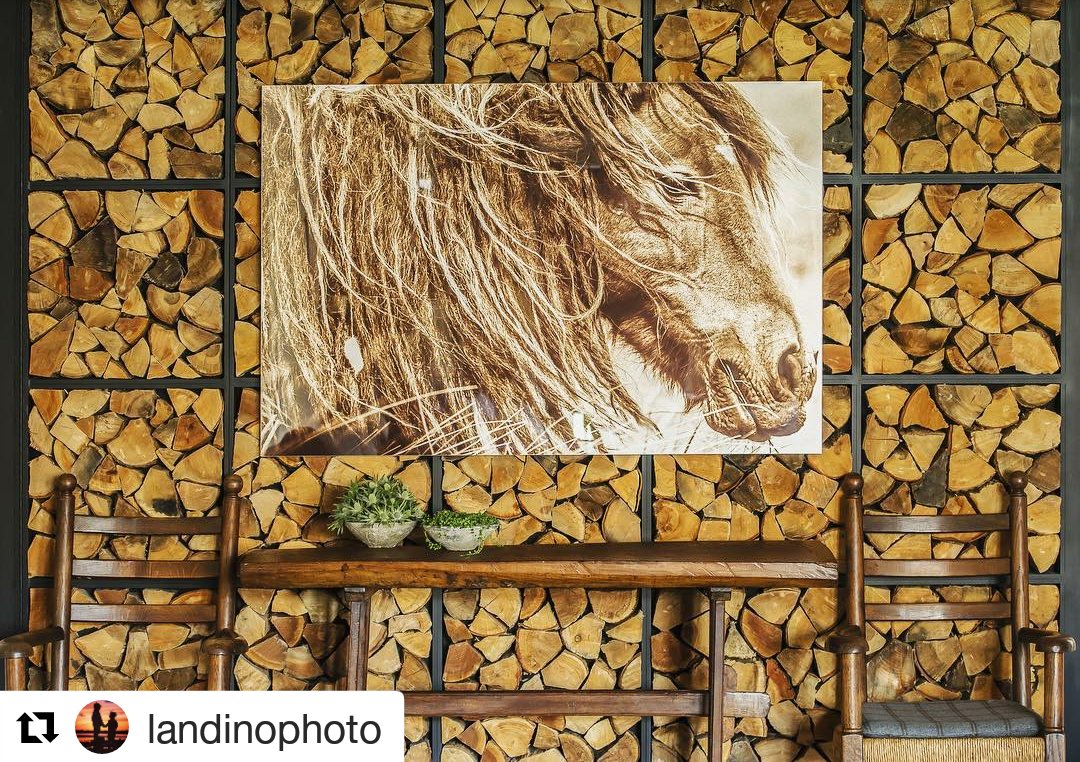 Amy Hirsch tweet media