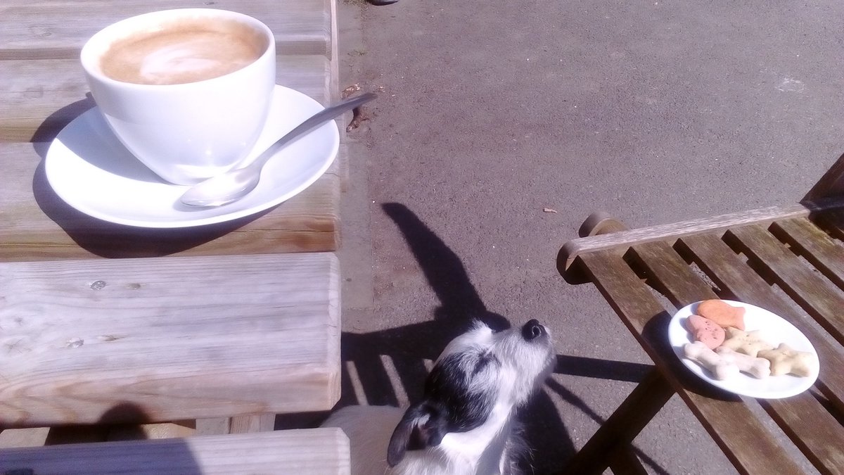 A_L_Carrington's tweet photo. Best #FlatWhite for miles around, and the dogs always enjoy stopping at @oldstablesCC #CastleCombe too!
Complimentary #dog #treats https://t.co/h3BypWUyV6