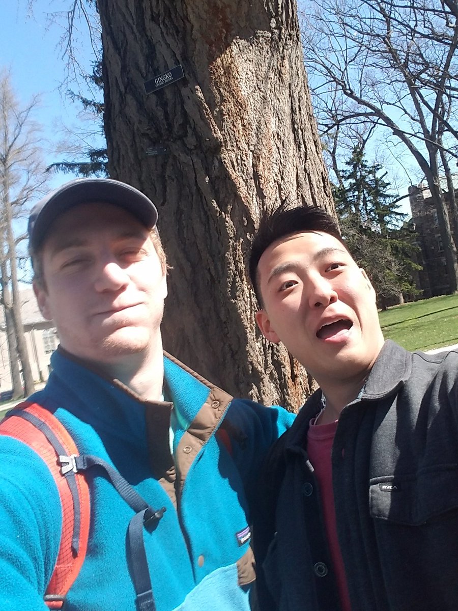 APatchingEES's tweet photo. #ees028 #gingkoselfie @LehighEcology https://t.co/fsC1Xyb2tP