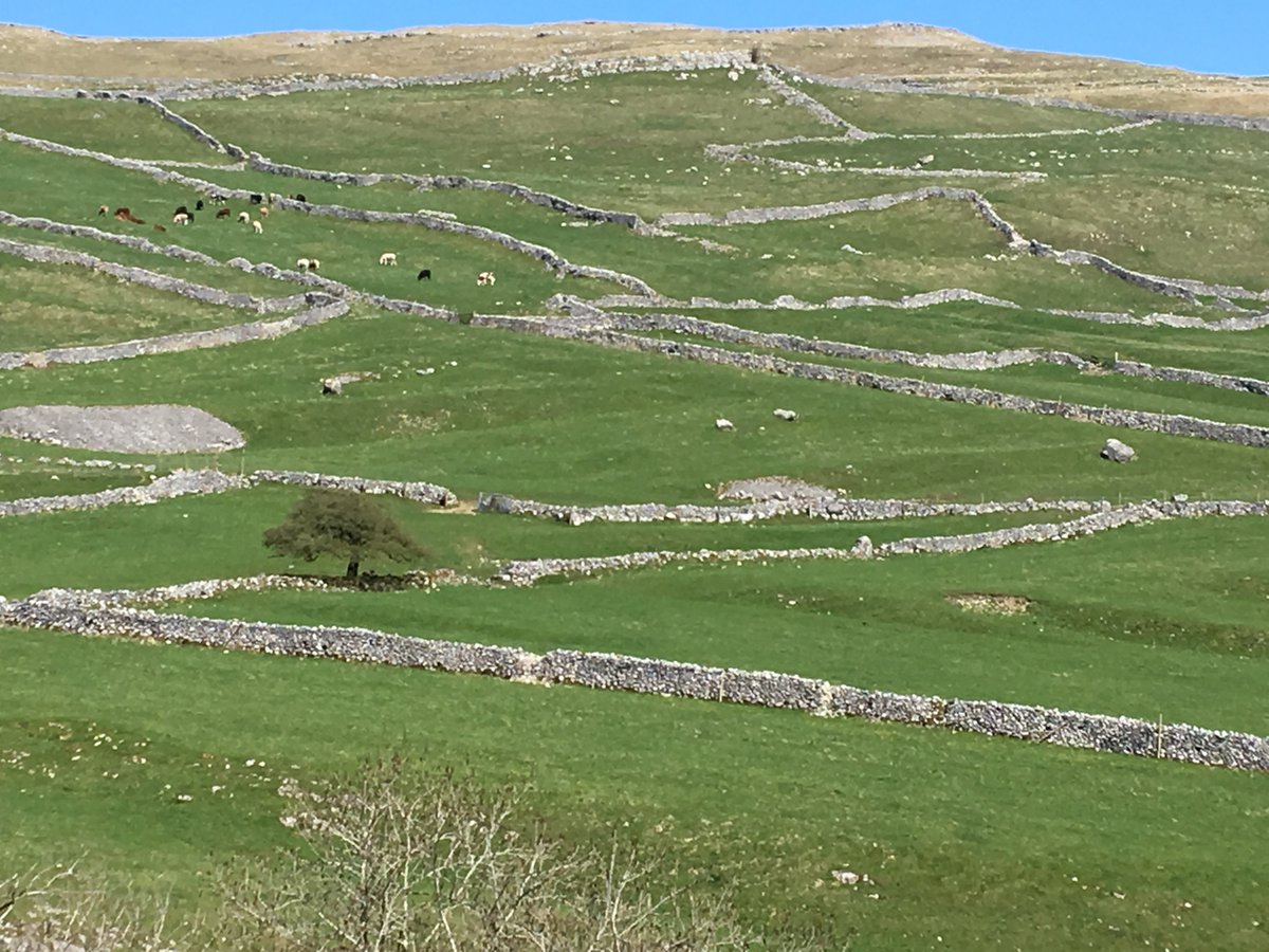 PVG Farm Team tweet media