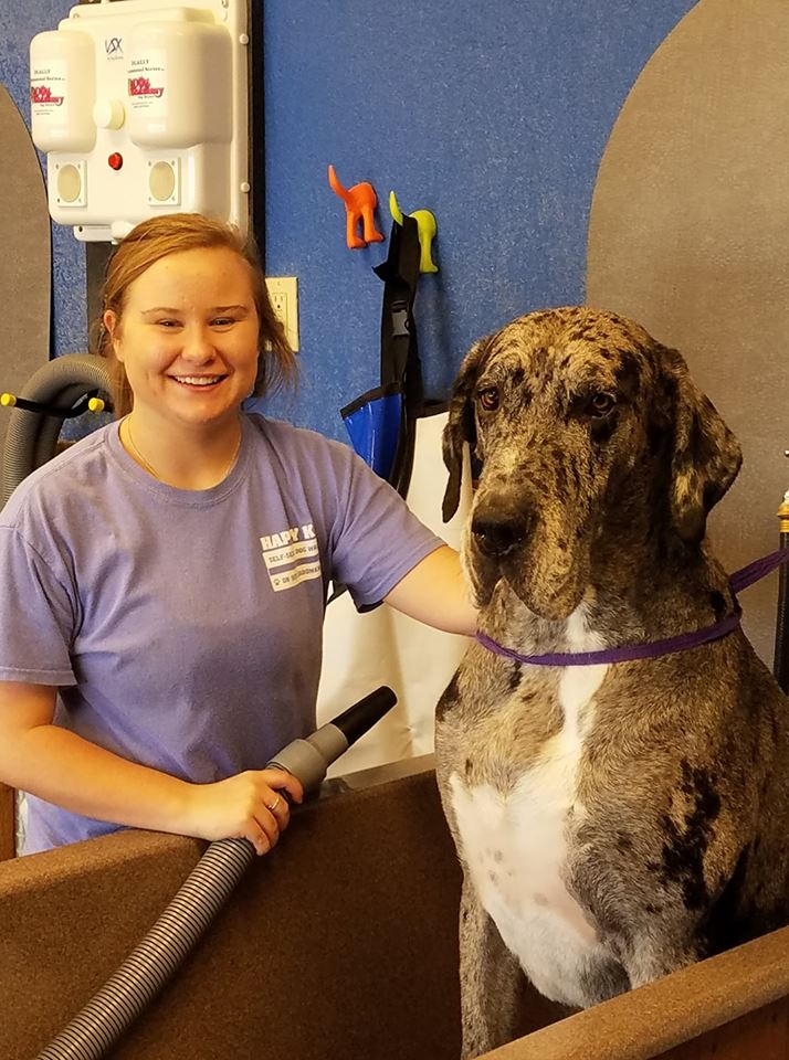 HappyK9DogWash photo