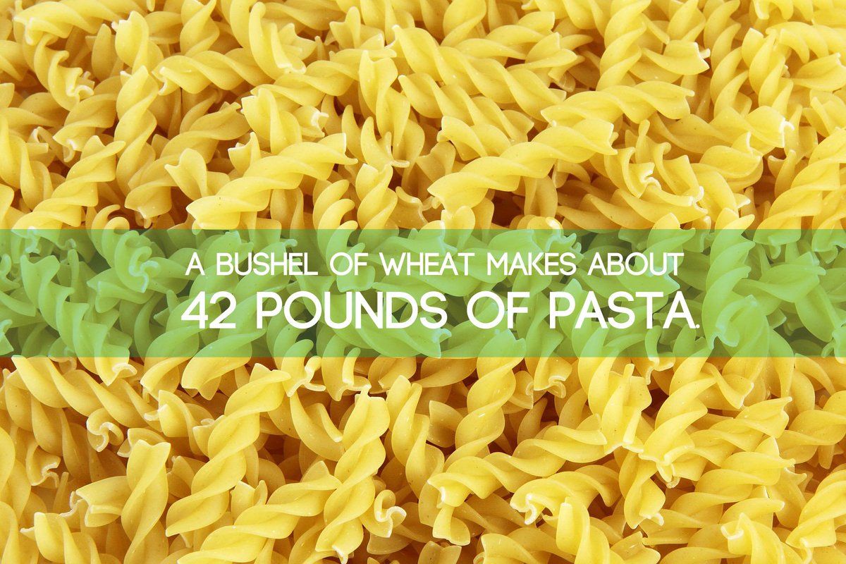 WheatFoods's tweet photo. Thatโs a #FactFriday! #Wheat #EatWheat #ThinkWheat #Pasta #LotsaPasta #FunFact https://t.co/hUEH10LAPm