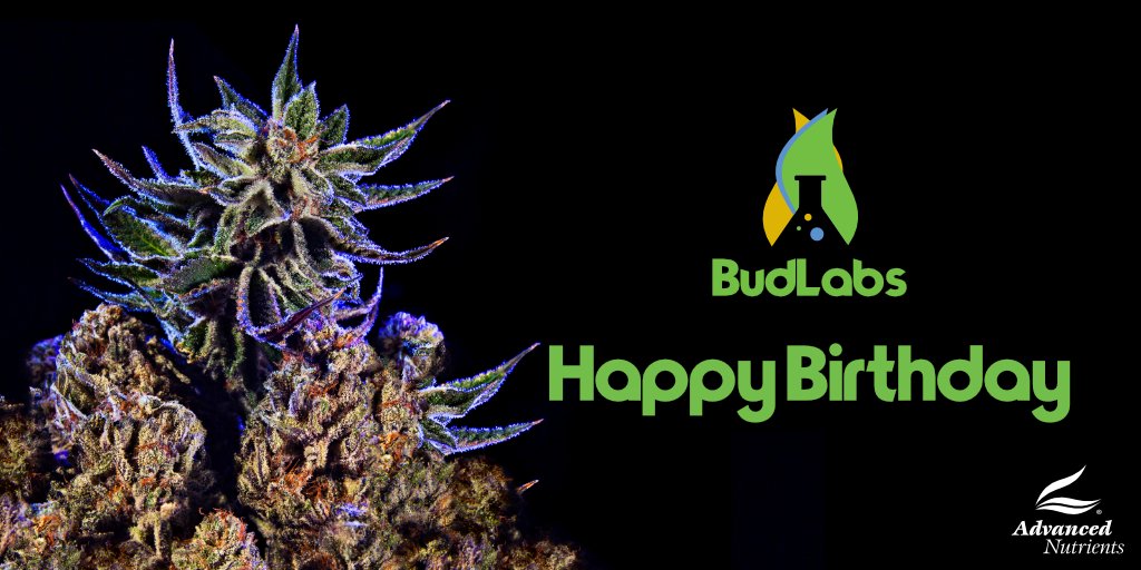 advancednutes's tweet photo. Happy #Birthday to #BudLabs, the revolutionary app that acts as your personal #cannabis cultivation consultant! Download today for bigger, more consistent yields!
Download it now for Android (https://t.co/Vx2nZnluQH) & iOS (https://t.co/F4l0KmIStm)
#GrowYourOwn #MarijuanaApp https://t.co/8NTqJR3bdl