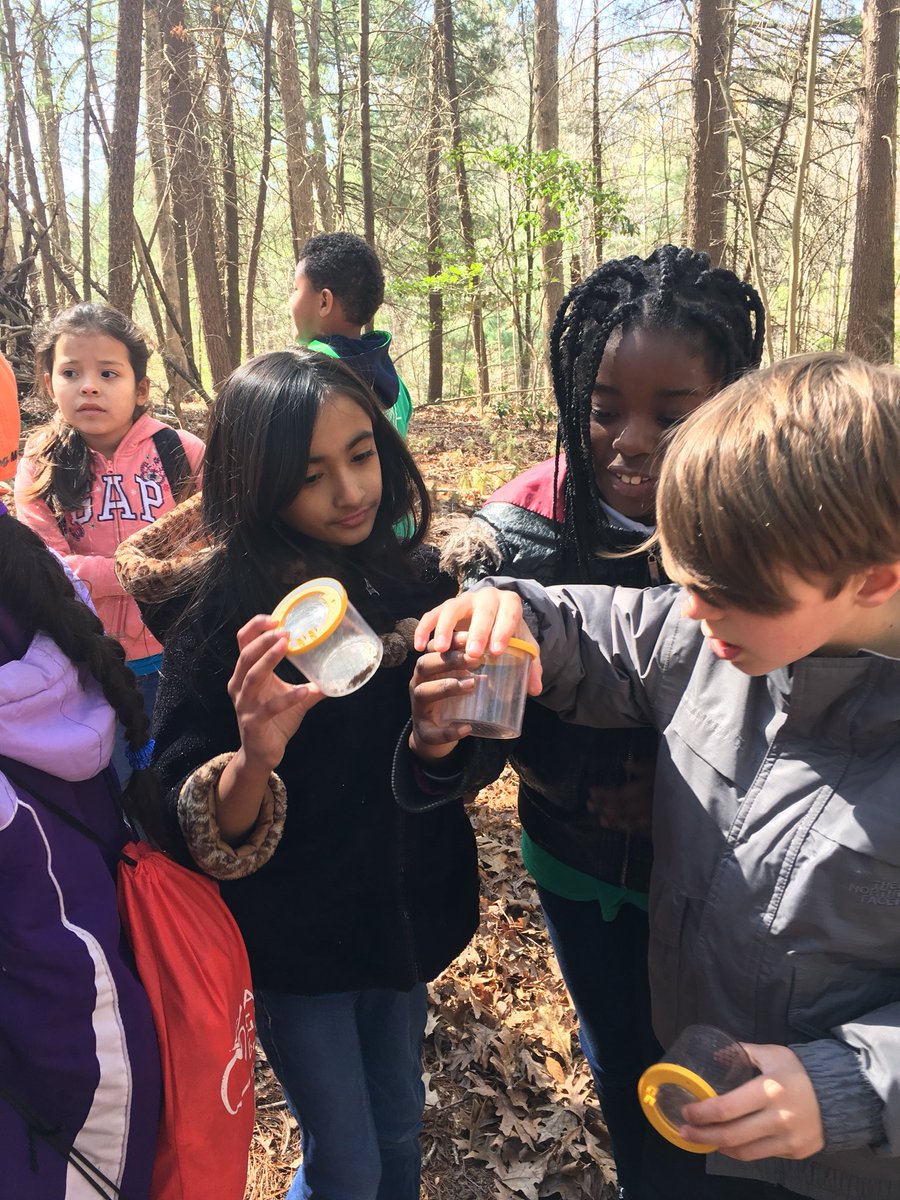 ms_murcia's tweet photo. Third grade examining the critters they found on their habitat hike at Lake Ridge Park 🐜 🐌 🐛 #O_Braves https://t.co/46b3enljak