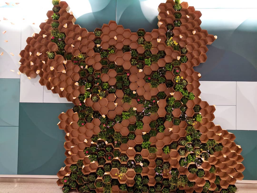 Laura Mendes tweet media