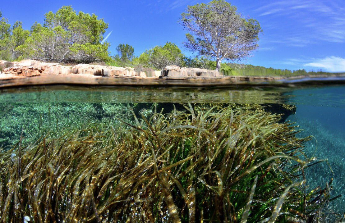 Ibiza.travel tweet media