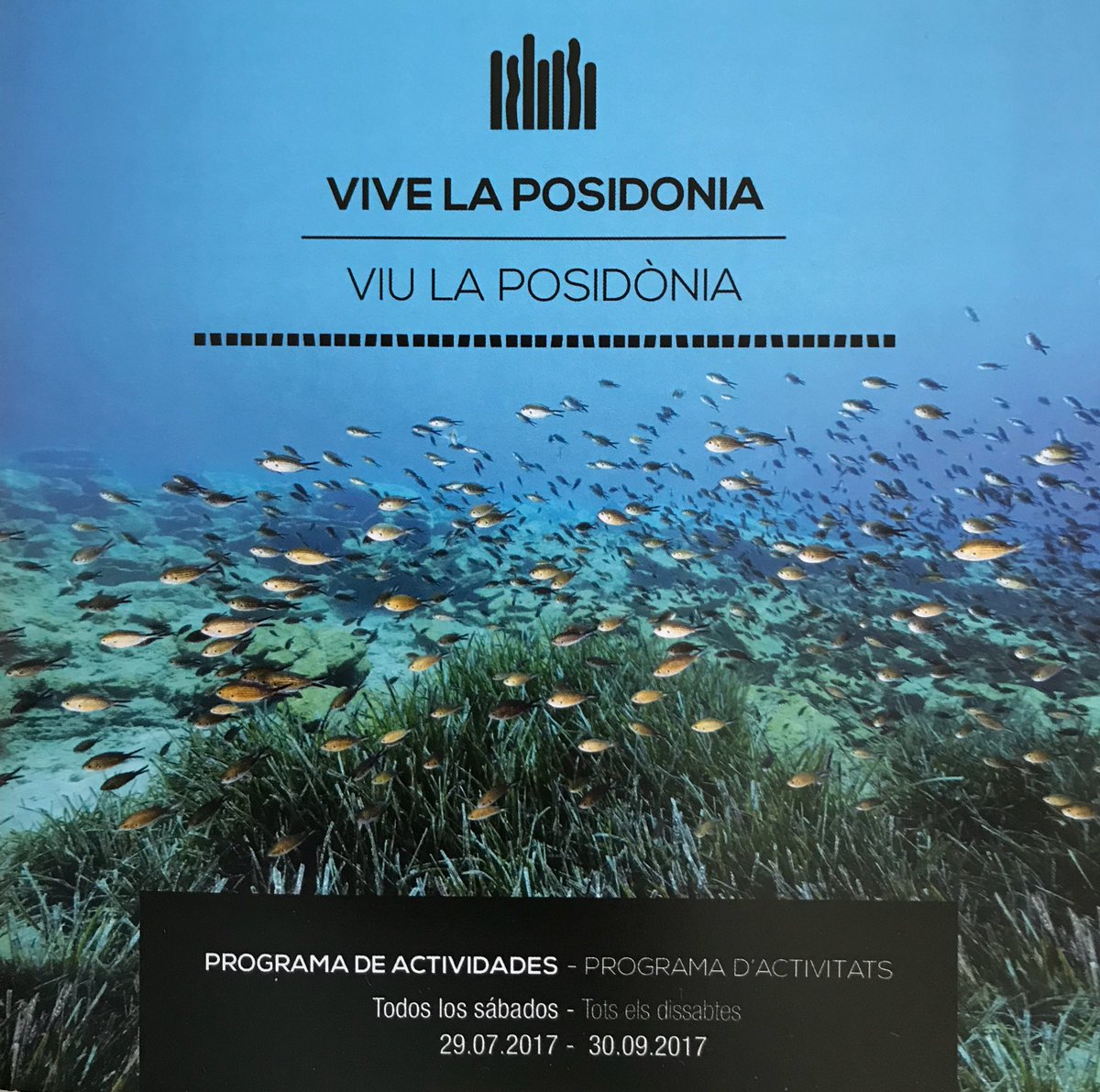 Ibiza.travel tweet media