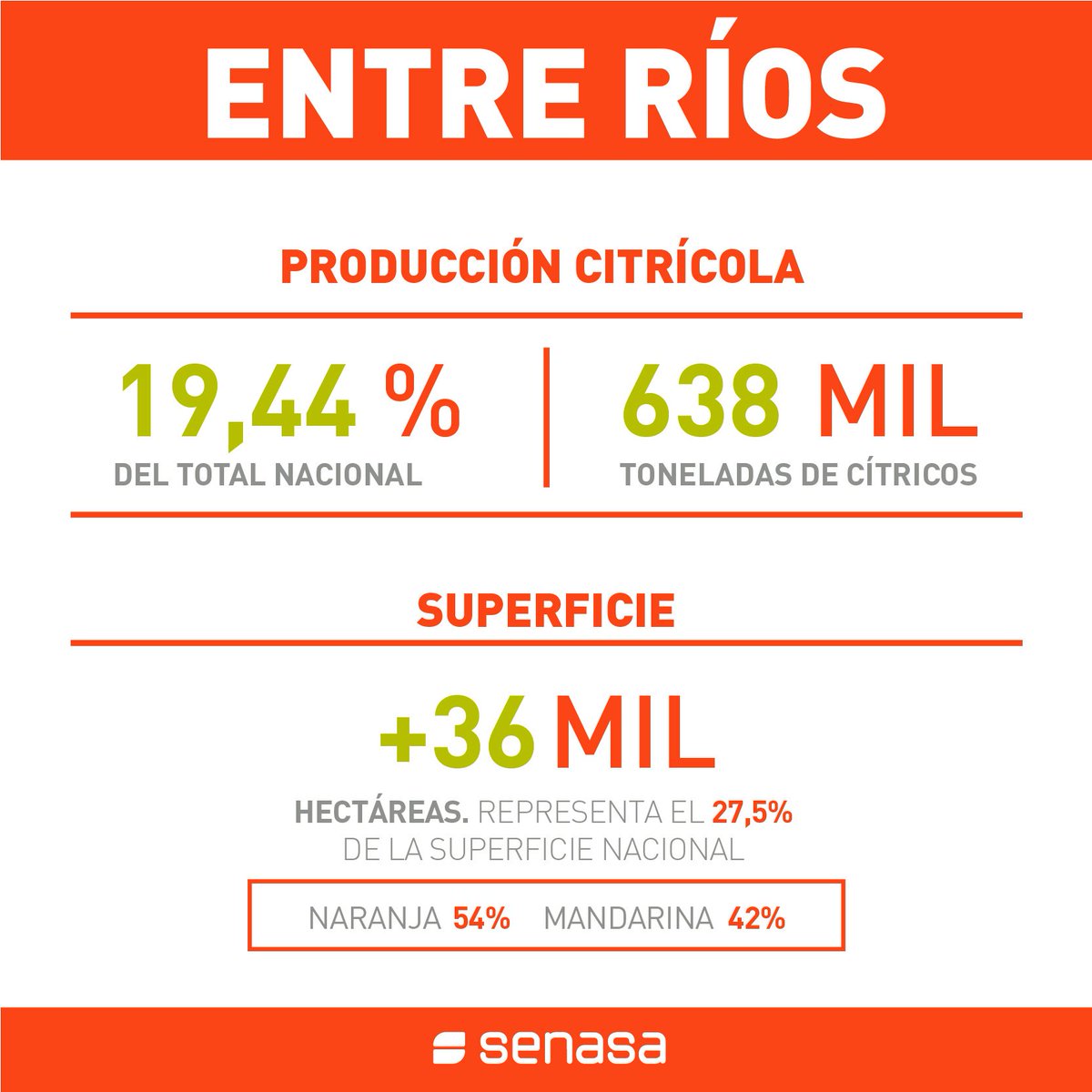 SenasaAR's tweet photo. #CitricosEnNumeros 🍊 
#EntreRios es la mayor productora de #naranja y #mandarina del país. Conocé lo que esta provincia aporta a nivel nacional.
#producción #EconomiasRegionales #citricos https://t.co/xmnyVPLXlg