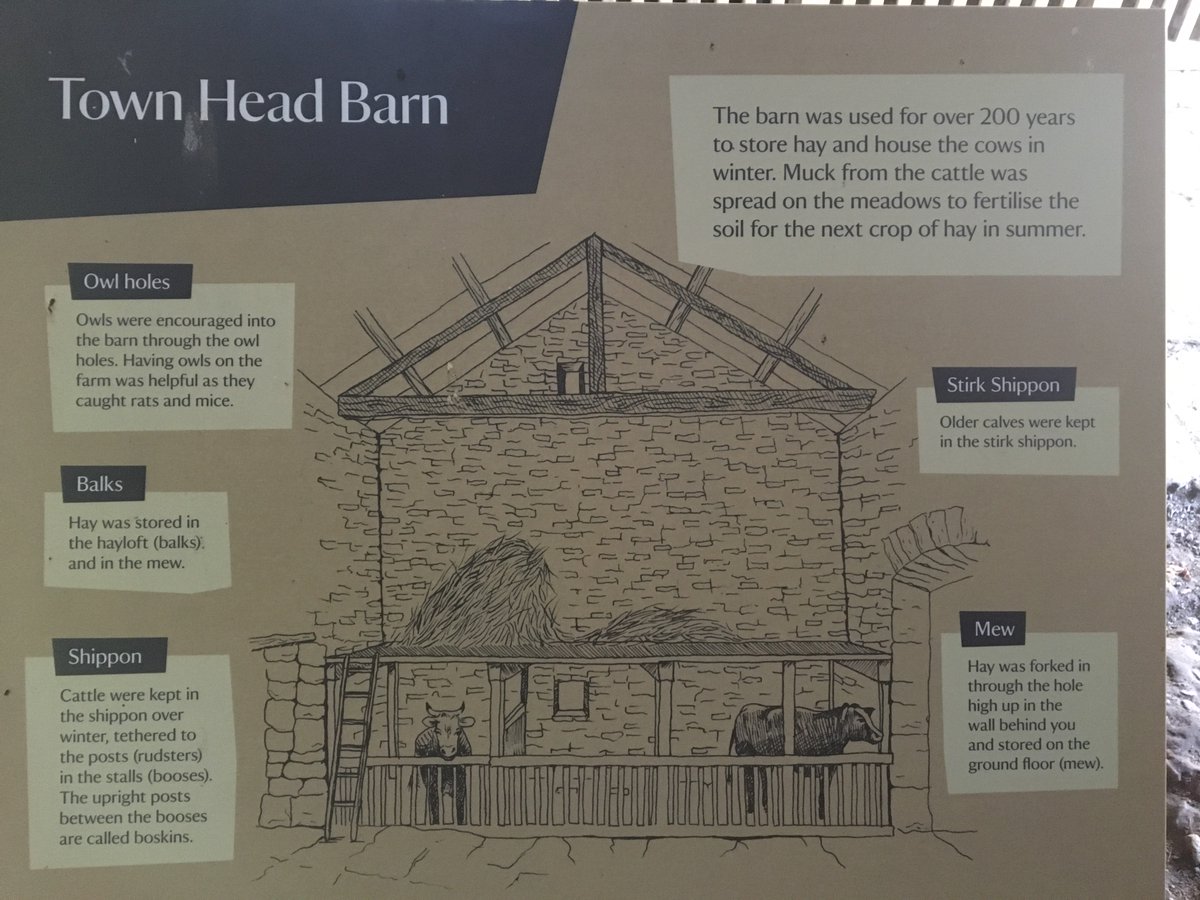 PVG Farm Team tweet media