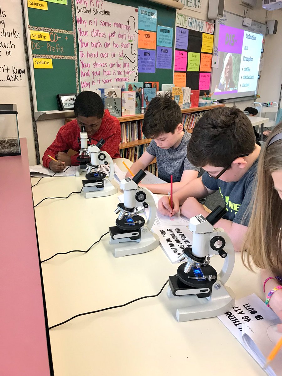 magley_m's tweet photo. The students showed their #LoveofLearning this week as we explored specimens under the microscope 🔬 Fun to see their amazement! #E2P2 #EEFamily https://t.co/FUKPCRHmDB