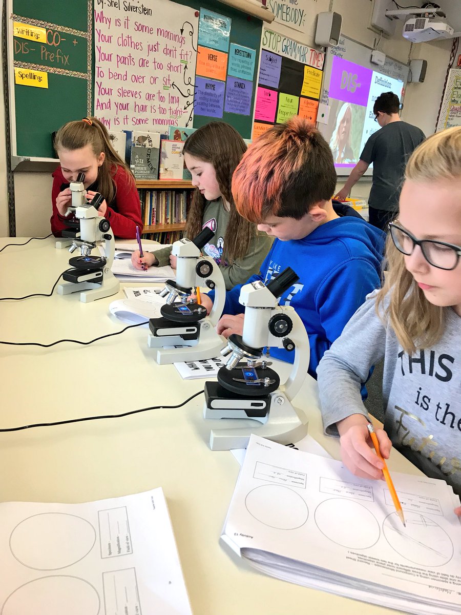 magley_m's tweet photo. The students showed their #LoveofLearning this week as we explored specimens under the microscope 🔬 Fun to see their amazement! #E2P2 #EEFamily https://t.co/FUKPCRHmDB