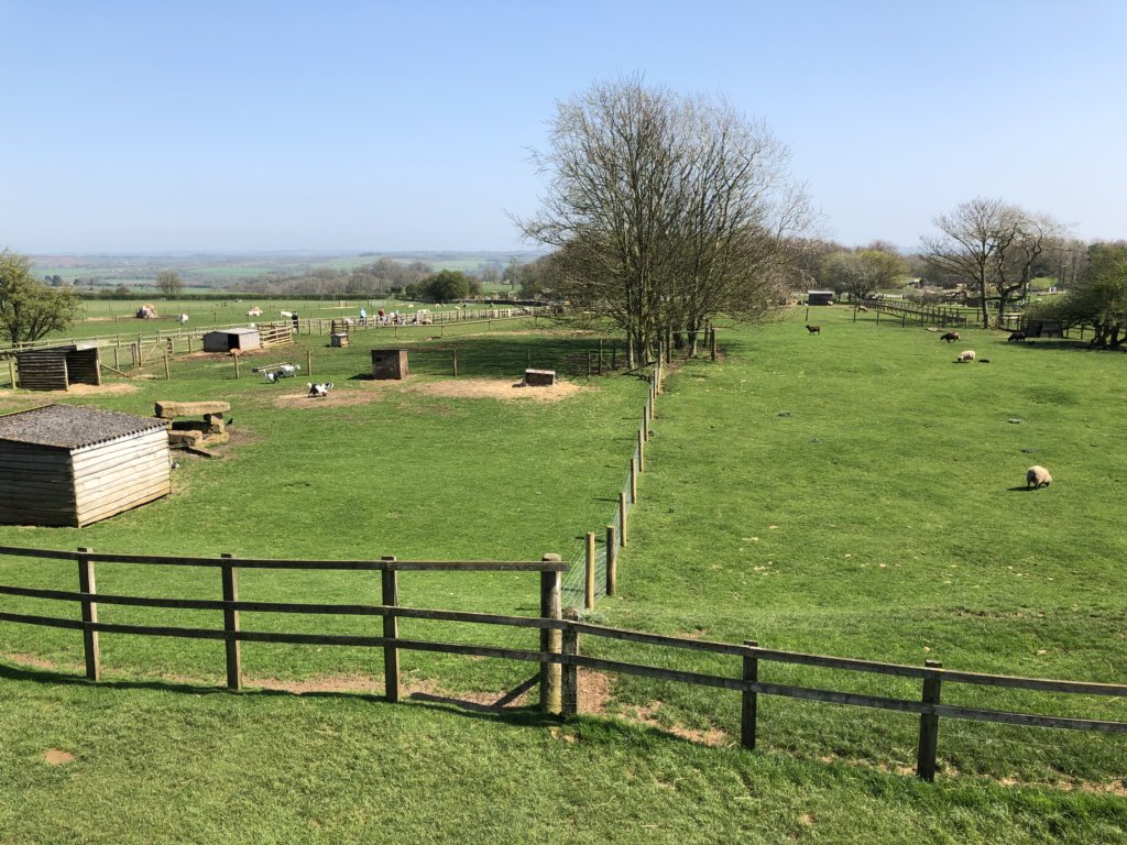 Cotswold Farm Park (CotswoldFarmPrk) Twitter