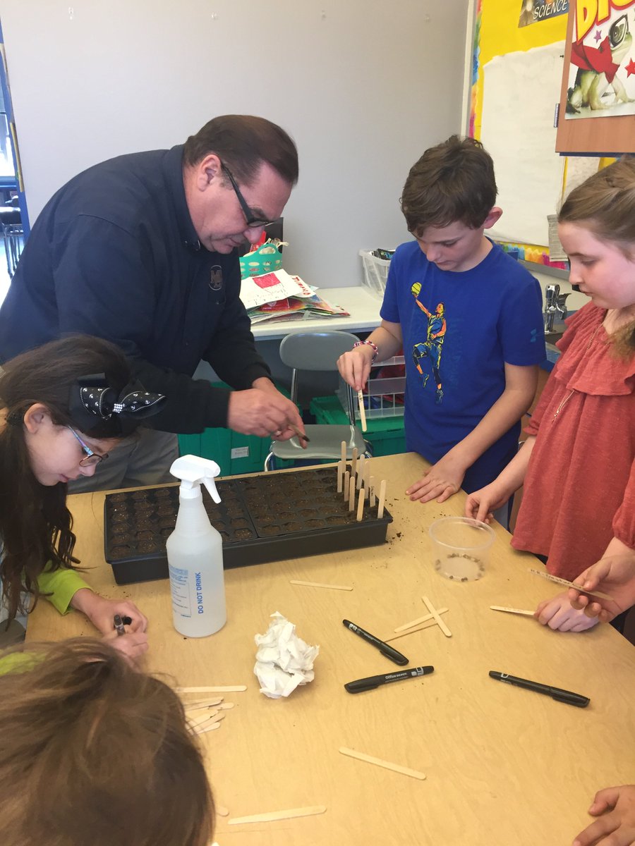 FosterSchoolMTL's tweet photo. Thank you to Mr. John, our head custodian, for teaching our 4th graders how to best plant, water and maintain plants that we have grown from seeds, which is a part of our Land and Water Unit in Science! # leboproud #MTLSDSteam https://t.co/njhTPTVEFg