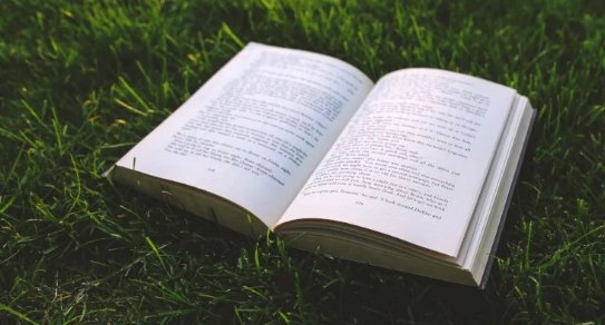 MartaMLedesma's tweet photo. 10 Libros imprescindibles para el profesional de #RRHH https://t.co/K64Cx5dFrI https://t.co/X6EDtd8xp5