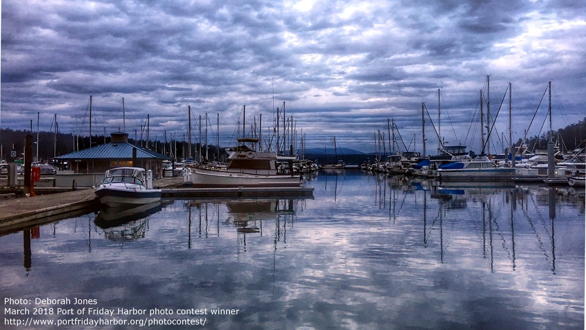 Port Friday Harbor tweet media