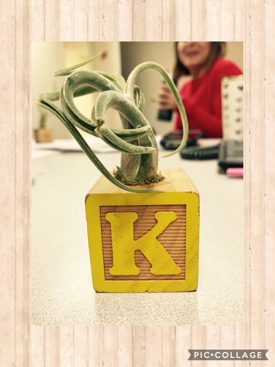 My team is so amazing! I was talking to a team member about starting a small garden and the next day I spot a succulent with my initial on my desk #TeamAlton 🌺🌸🌻🌼